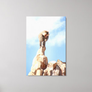 Toile Singe babouin au sommet d'une montagne