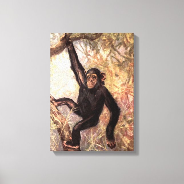 Toile Singe chimpanzé par CE Swan, Animaux sauvages Vint (Recto)