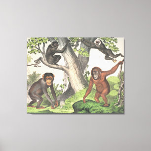 Toile Singes antiques dans la jungle Imprimer