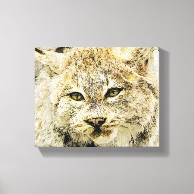 Toile Sketchy Wildcat (Recto)