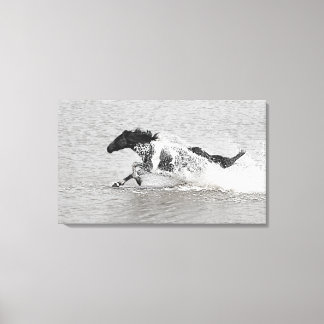 Toile Ski à jet Wild Mundoo