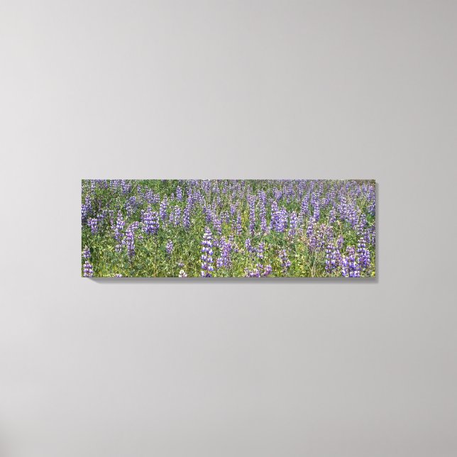Toile Sky Lupines (Recto)