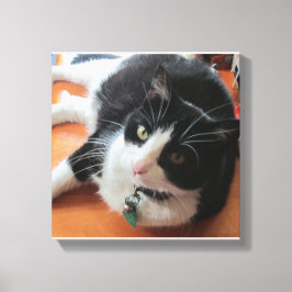 Toile Smokey Le Canvas Chat Imprimer