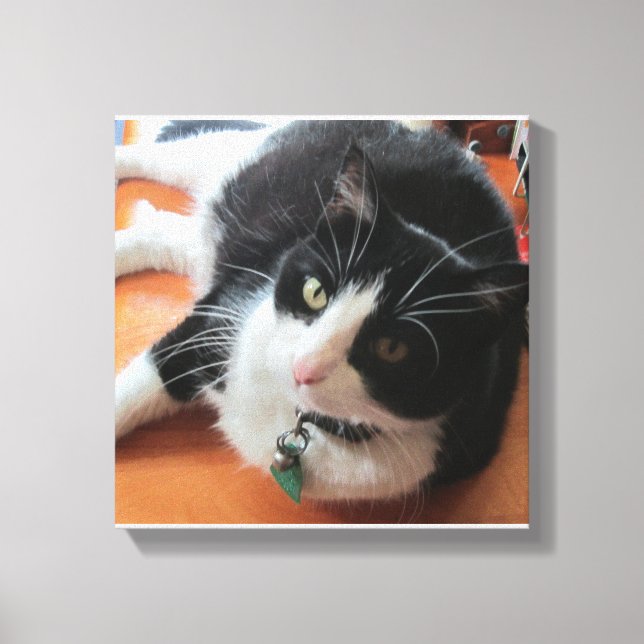Toile Smokey Le Canvas Chat Imprimer (Recto)