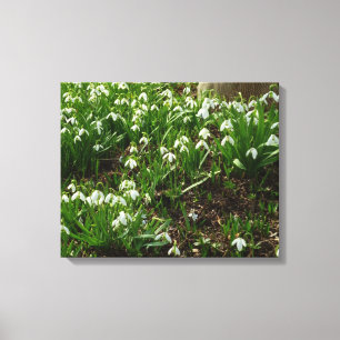 Toile Snowdrops