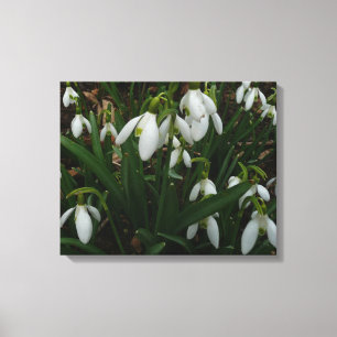 Toile Snowdrops I
