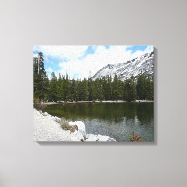 Toile Snowy Tenaya Lake Yosemite National Park Photo (Recto)