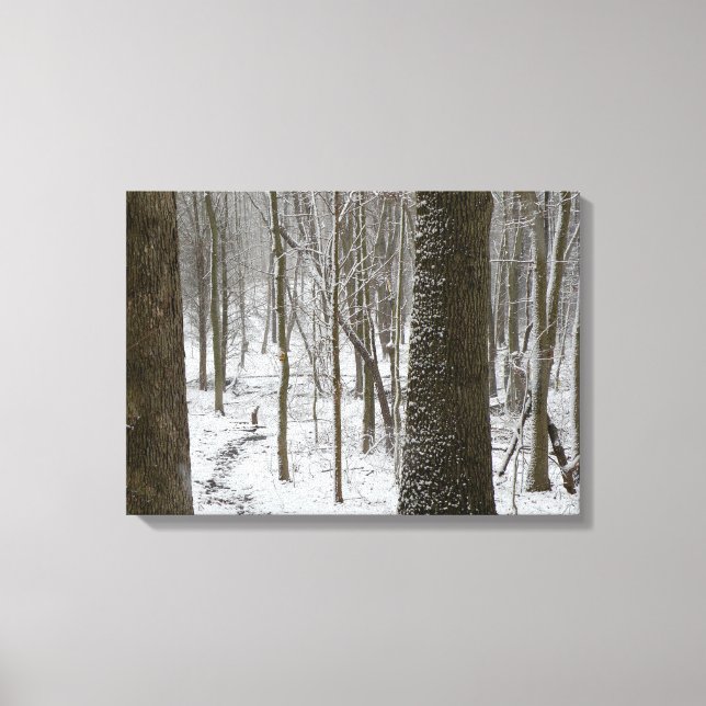 Toile Snowy Woods (Recto)