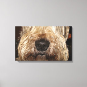 Toile soft coated wheaton terrier.png