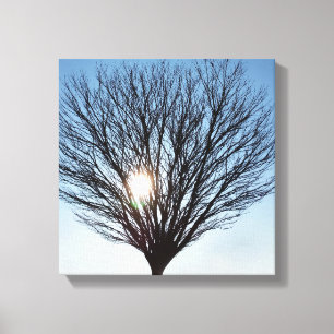Toile soleil d'hiver