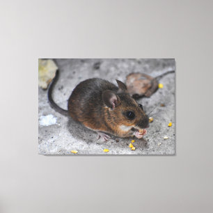 Toile Souris en bois