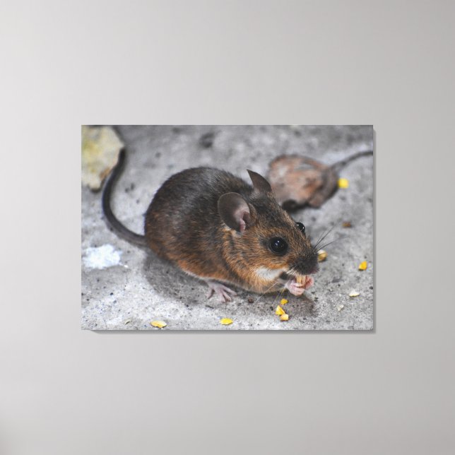 Toile Souris en bois (Recto)