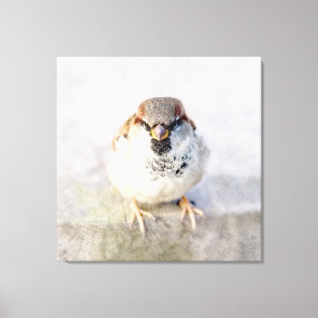 Toile Sparrow - Le Guerrier (Recto)