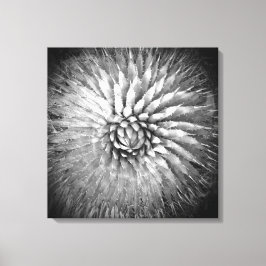Toile Spikes d'Agave Noir et Blanc Sud-Ouest