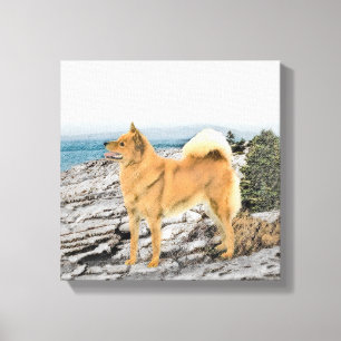 Toile Spitz finlandais à Seashore Peinture - Chien Art