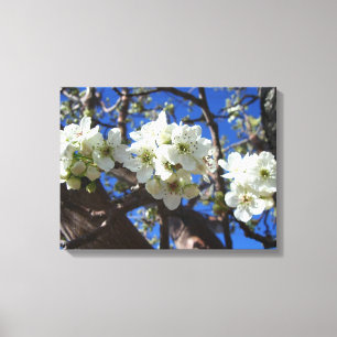 Toile Spring Flowering Pear Tree