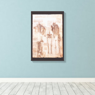 Toile Squelette d'anatomie humaine de Léonard de Vinci O