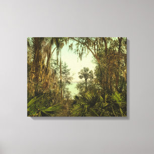 Toile St. Johns River Floride 1898 Photo