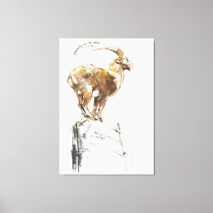 Toile Stambecco d'Oro 2005