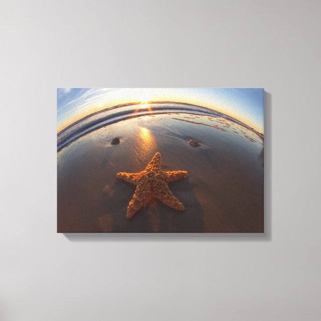 Toile Starfish (Recto)