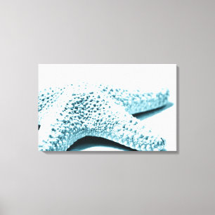 Toile Starfish bleu