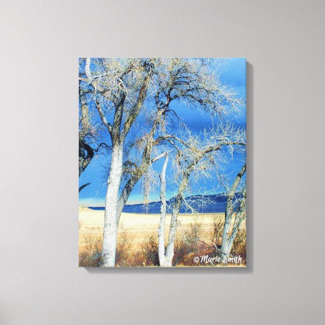 Toile Storm Front 1 (Recto)