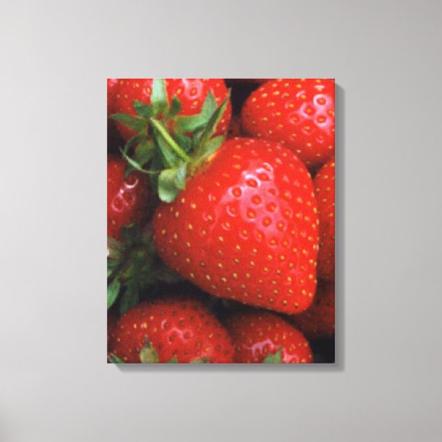 TOILE STRAWBERRY (Recto)