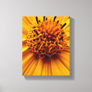 Toile Stretched Canvas Print