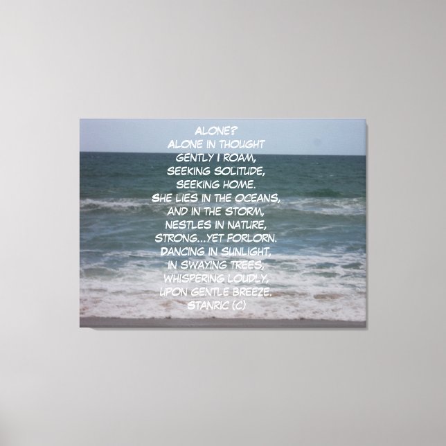 TOILE STYLE D'ART ET DE DESIGN DE CANVAS (Recto)