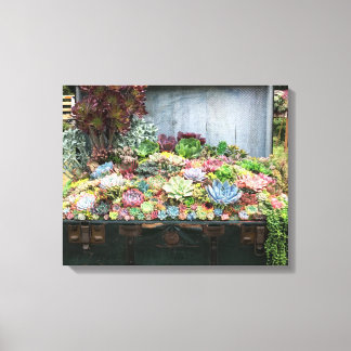 Toile Succulents dans la poitrine au trésor