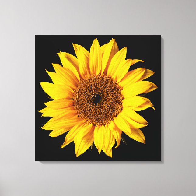 Toile Sunflower Yellow on Black (Recto)