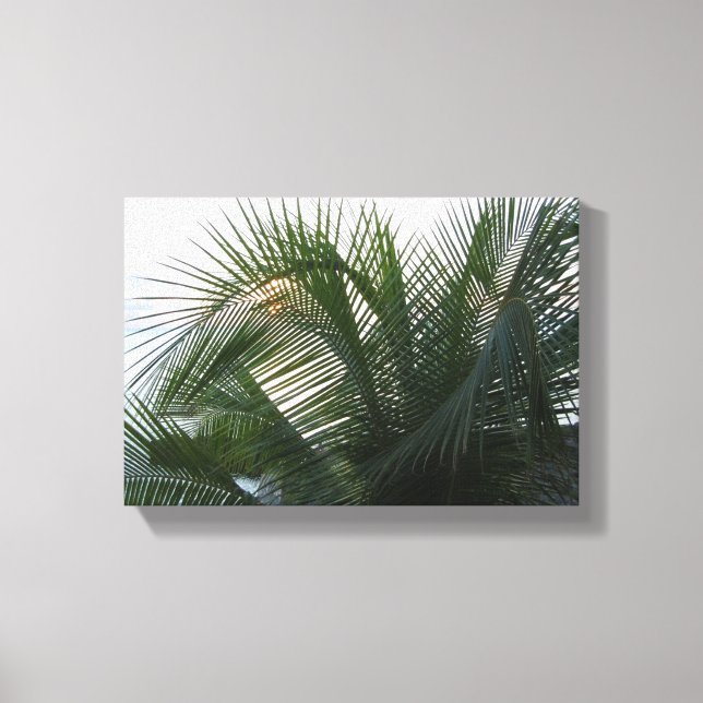 Toile Sunset House GCM, BWI (Recto)