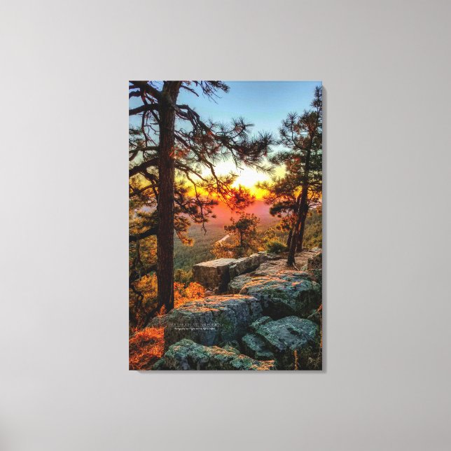 Toile Sunset Mogollon Rim Arizona Pine Trees 24x36 (Recto)