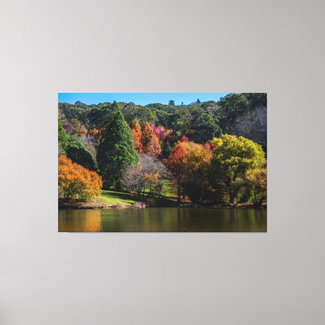 Toile Superbes couleurs et réflexions d'automne (Recto)