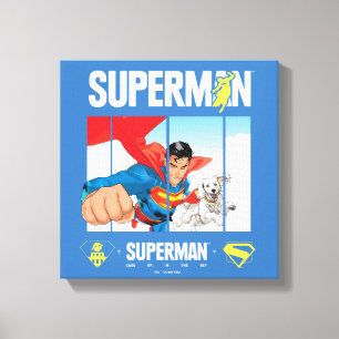 Toile Superman et Krypto prennent l'avion