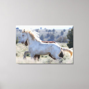 Toile survivant enrobée