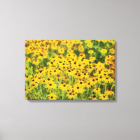 Susans observé par noir a enveloppé la copie d'art