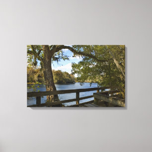 Toile Suwannee River à Hart Springs