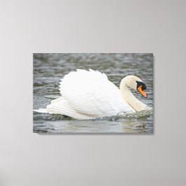Toile Swan