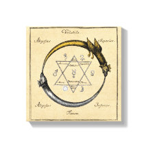 Symbole or et argent Ouroboros