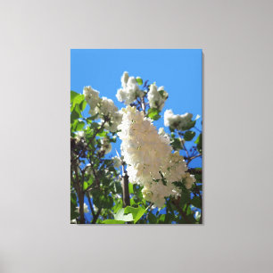 Toile Syringa, Arbre à fleurs blanc Lilac