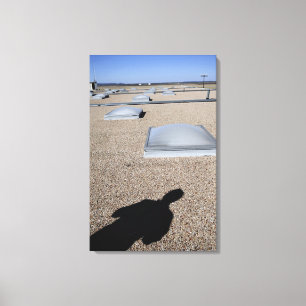 Toile Système d'éclairage solaire