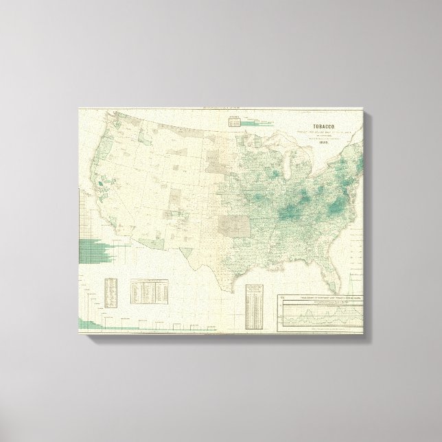 Toile Tabac (Recto)