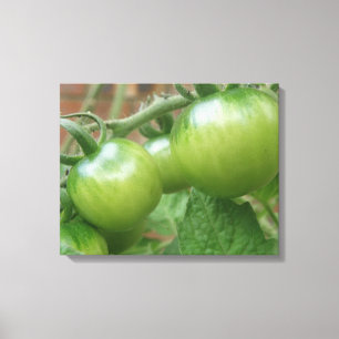 Toile Tableaux de tomates vertes