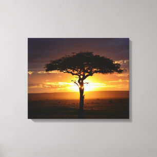 Toile Tablette africaine Safari Sunset étirée