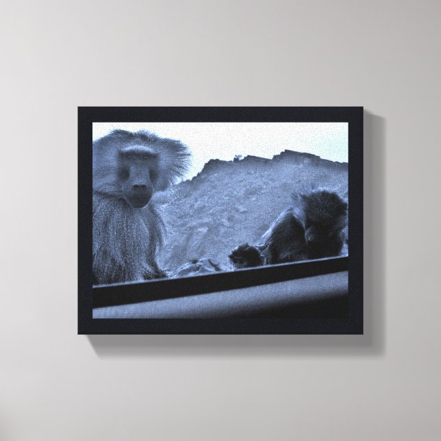 Toile Taif Baboons (Recto)