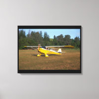 Taylorcraft, BC-12, 1941_Aviation classique