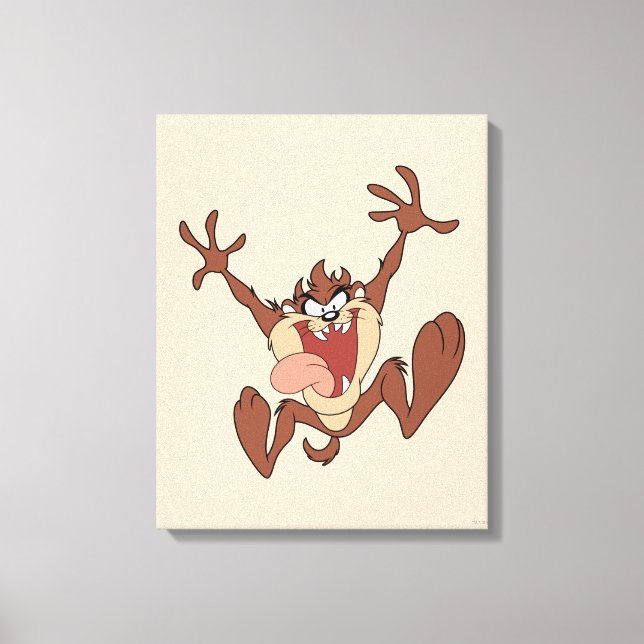 TOILE TAZ™ (Recto)