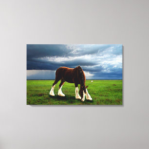 Toile Tempête de Clydesdale
