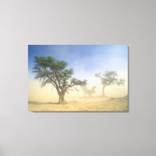 Toile Tempête de sable dans le désert du Kalahari, Kgala